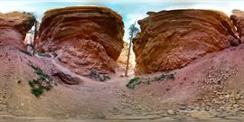 NorthAmerica1-BryceCanyon-07