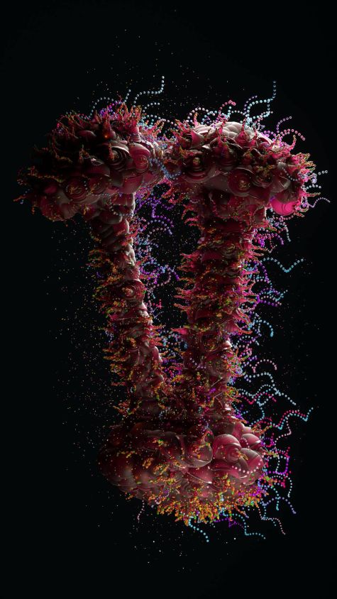 [23-03-02] - Streptopaolo Megalo Bretella Virus