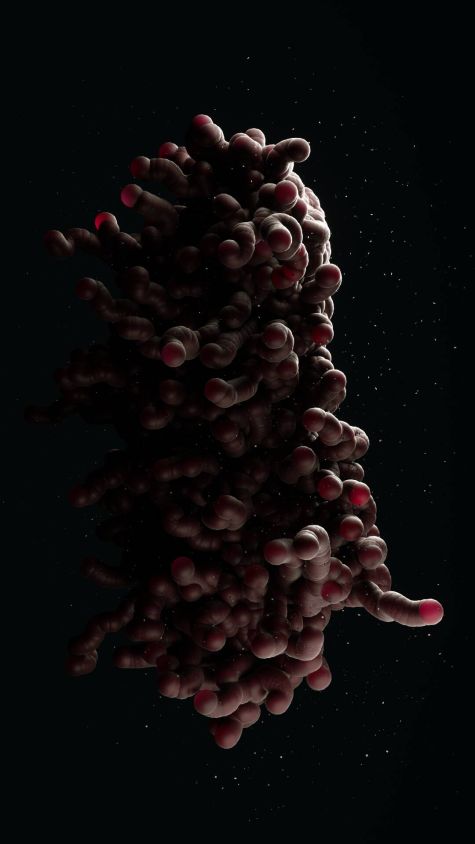 [23-02-27] - Balestracciccio Virus