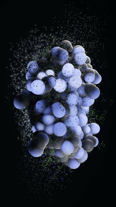 [23-03-10] - Legionella Santa Virus