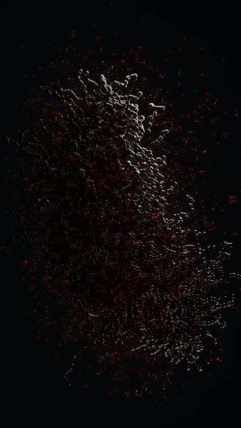 [23-02-25] - Bitenerini Red Virus