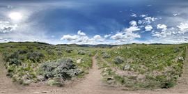 NorthAmerica2-Yellowstone-05