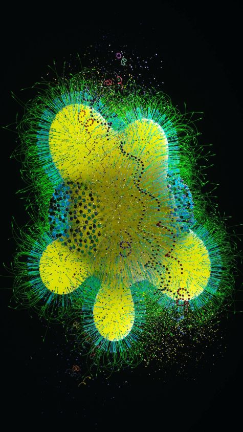 [23-03-09] - Bimartino tartaglia Virus